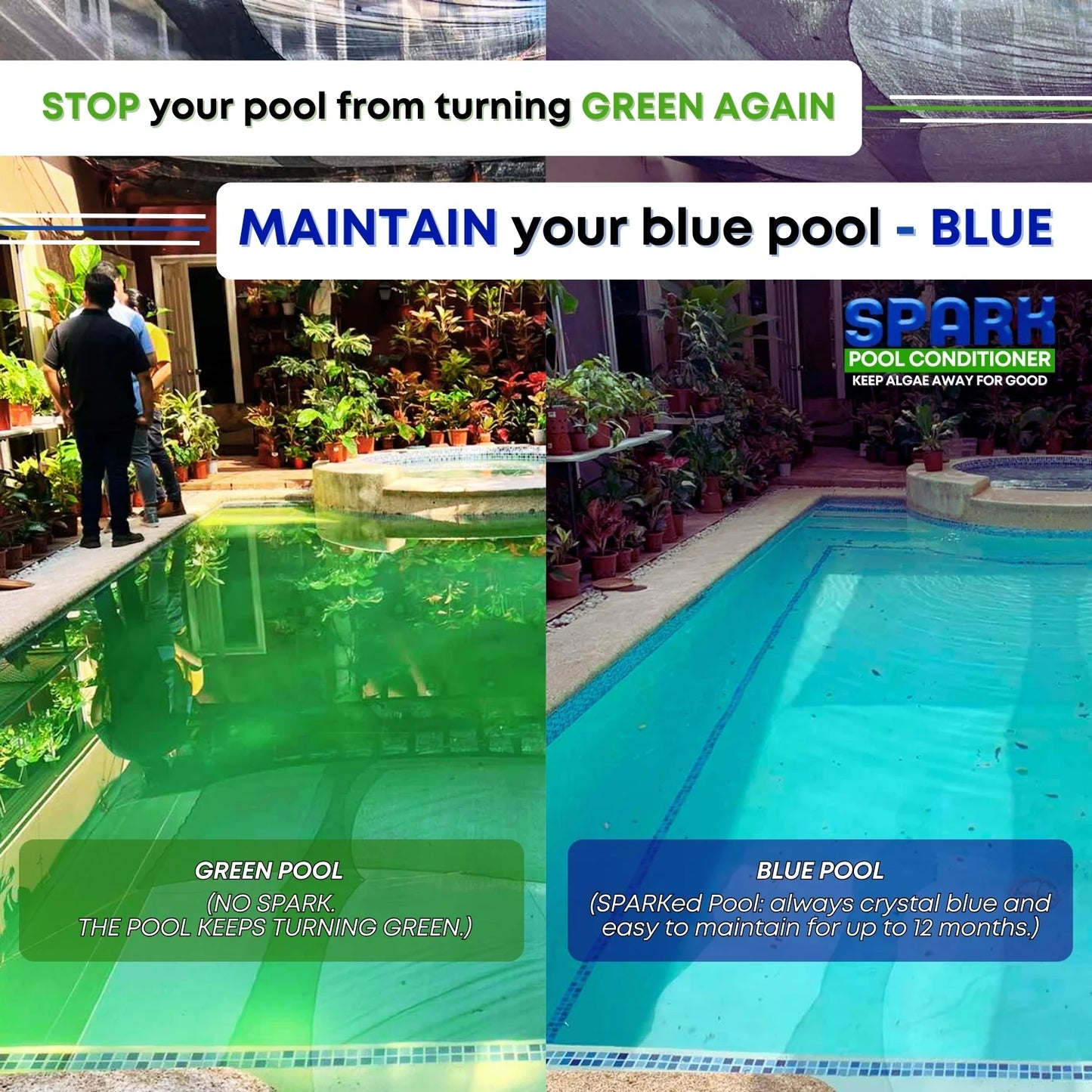 Spark Pool Conditioner - Your Ultimate Guard Against Algae