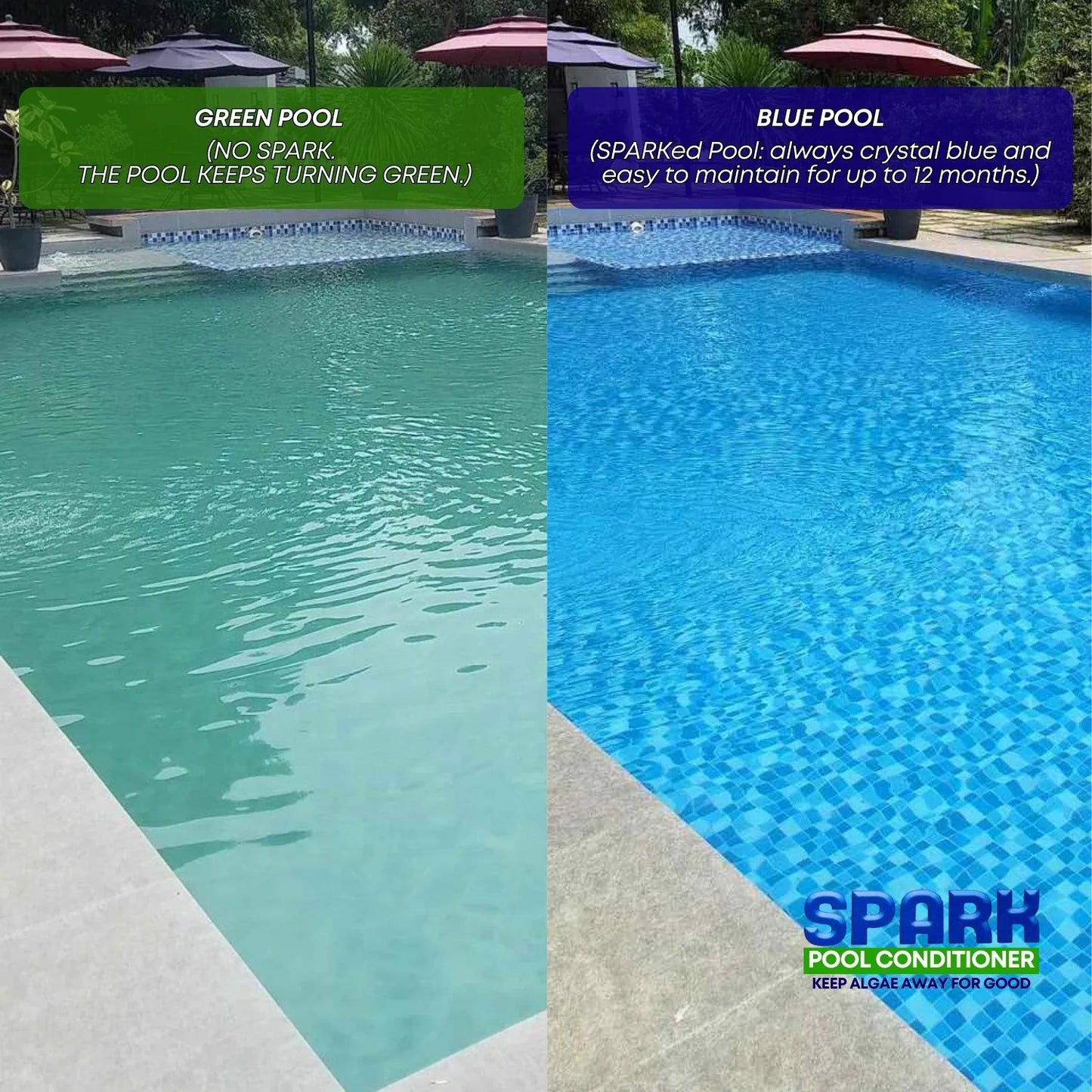 Spark Pool Conditioner - Your Ultimate Guard Against Algae